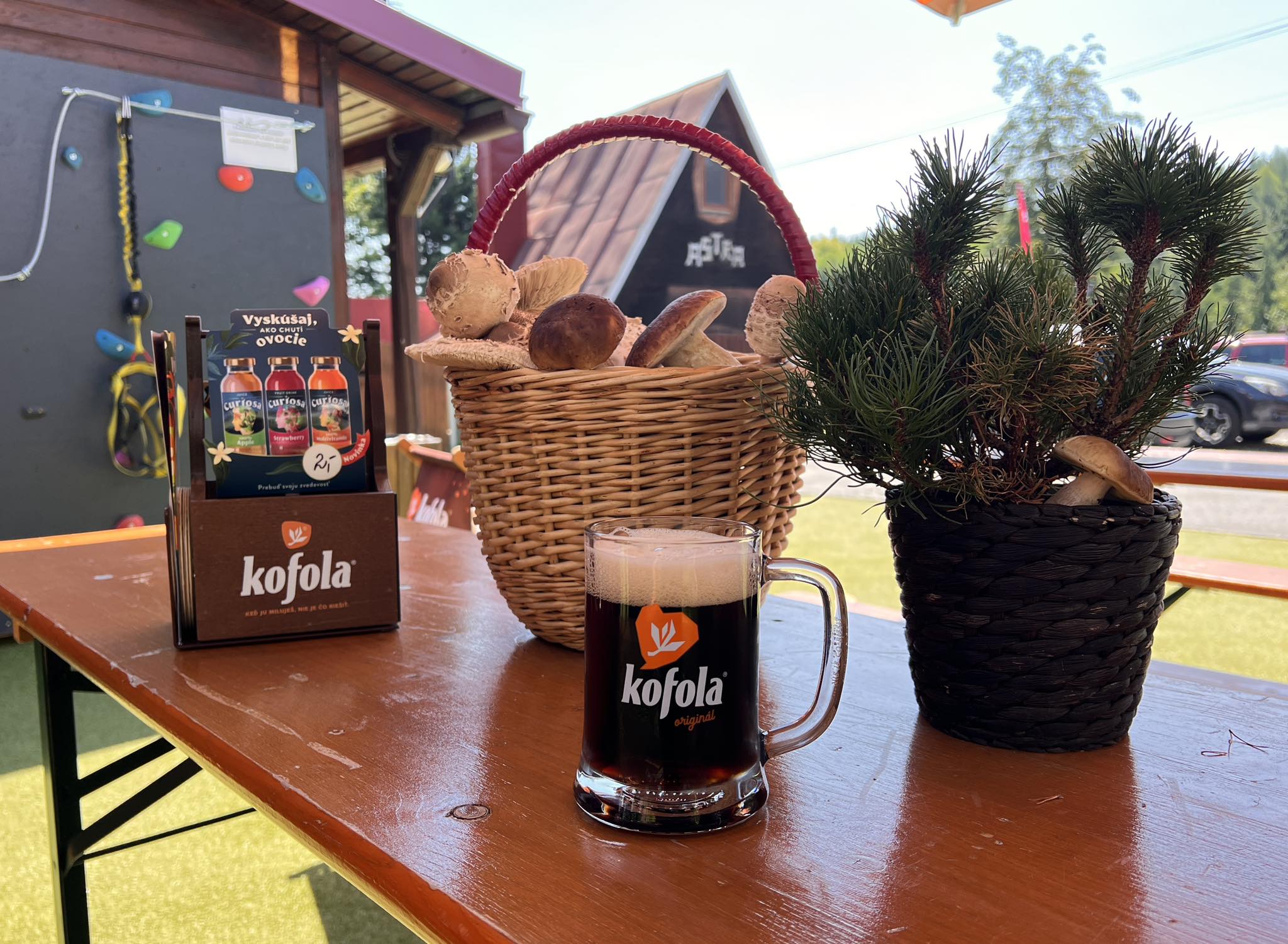 Nealko bar v zázemí FATRA SKI
