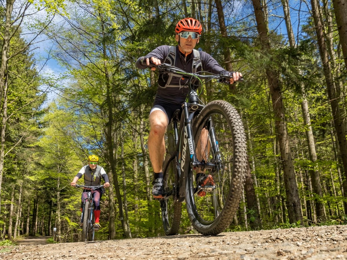 Horský E-BIKE FATRA SKI